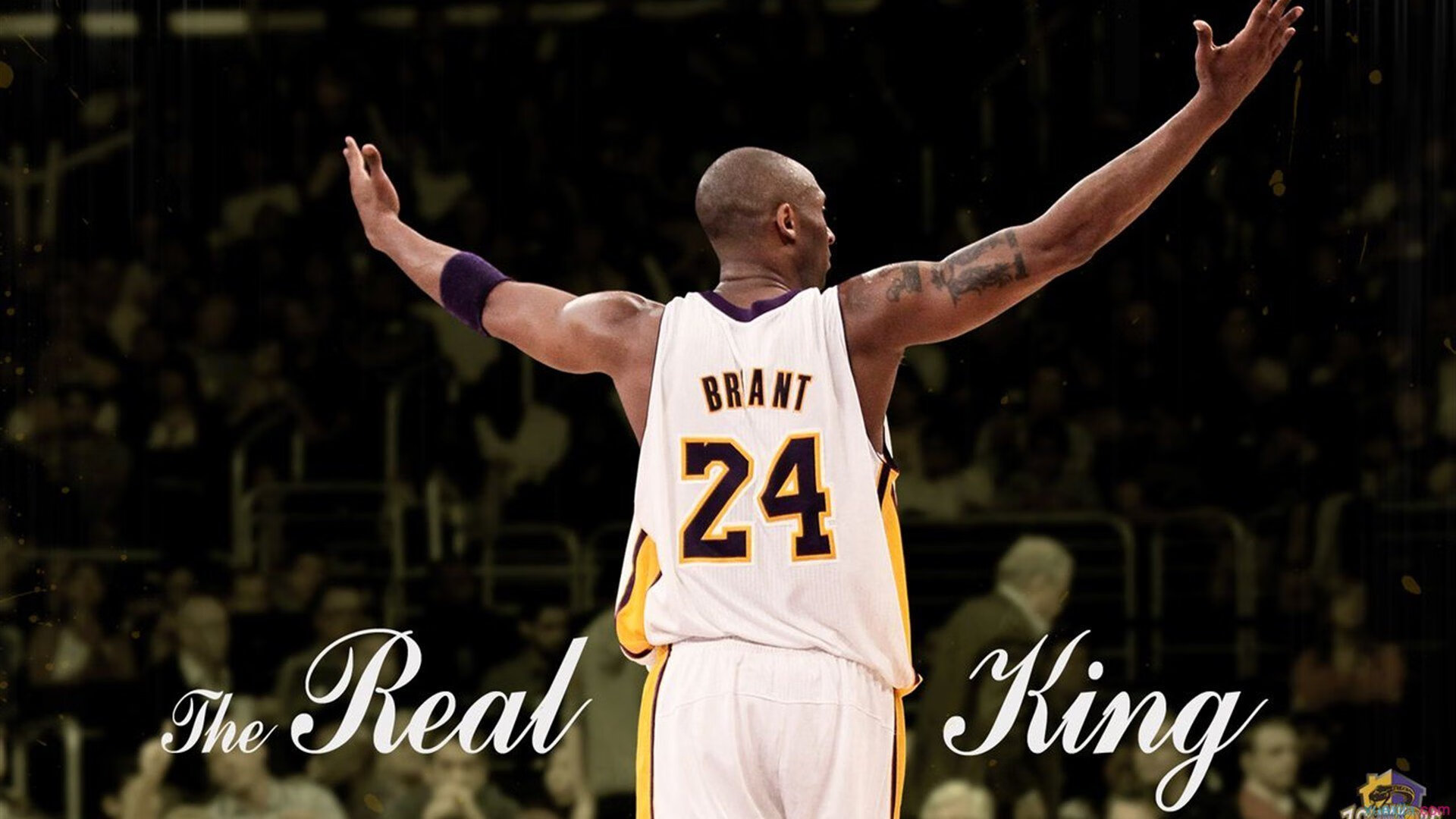 当广厦的牛劲撞上约基奇的太极,一场跨越篮球次元的降维打击