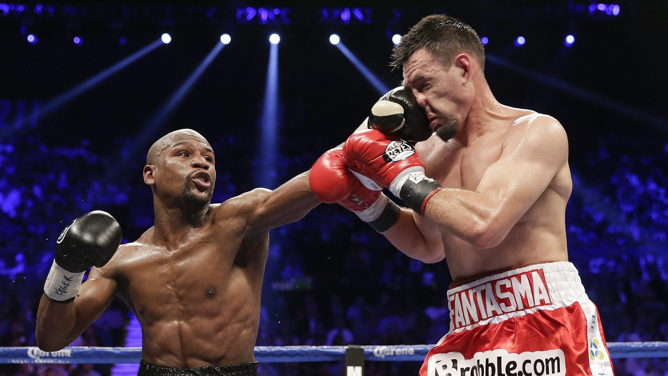 森林狼的逆转与福克斯的接管,跨越运动的韧性之光